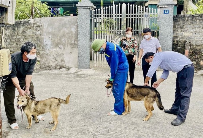 Cháu bé 8 tuổi tử vong sau hơn 4 tháng bị chó dại cắn (30/8/2023)